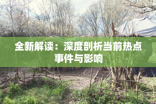 全新解读：深度剖析当前热点事件与影响