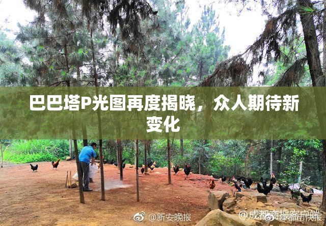 巴巴塔P光图再度揭晓，众人期待新变化