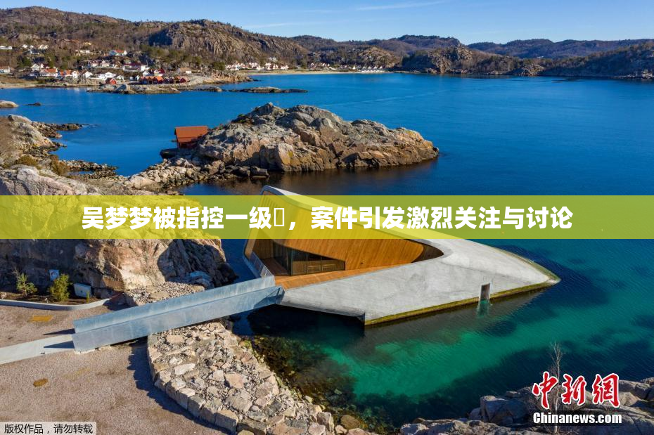 吴梦梦被指控一级婬，案件引发激烈关注与讨论