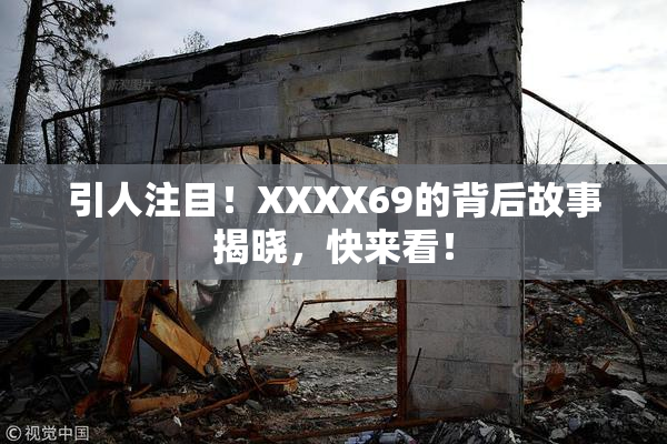 引人注目！XXXX69的背后故事揭晓，快来看！