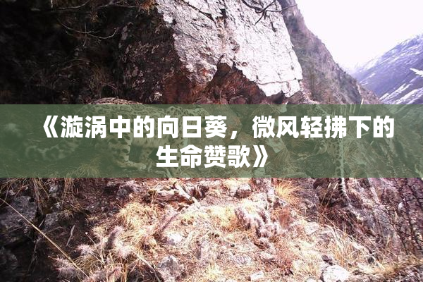 《漩涡中的向日葵，微风轻拂下的生命赞歌》
