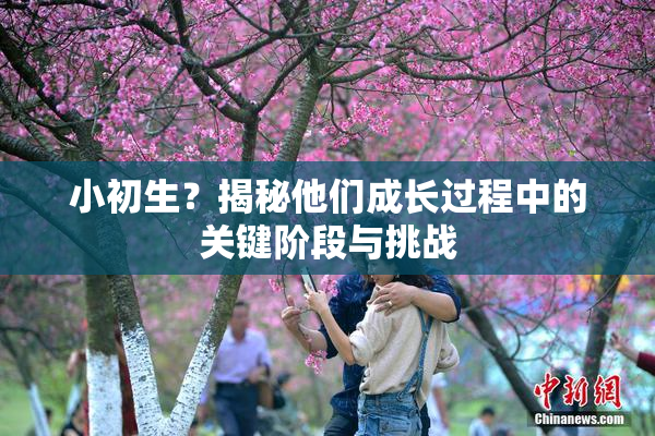 小初生？揭秘他们成长过程中的关键阶段与挑战