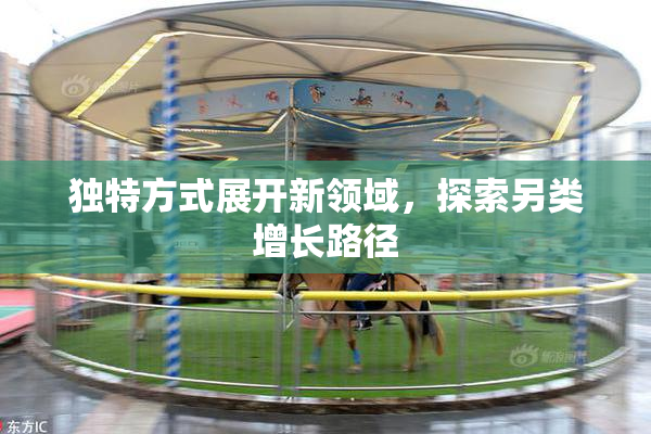 独特方式展开新领域，探索另类增长路径