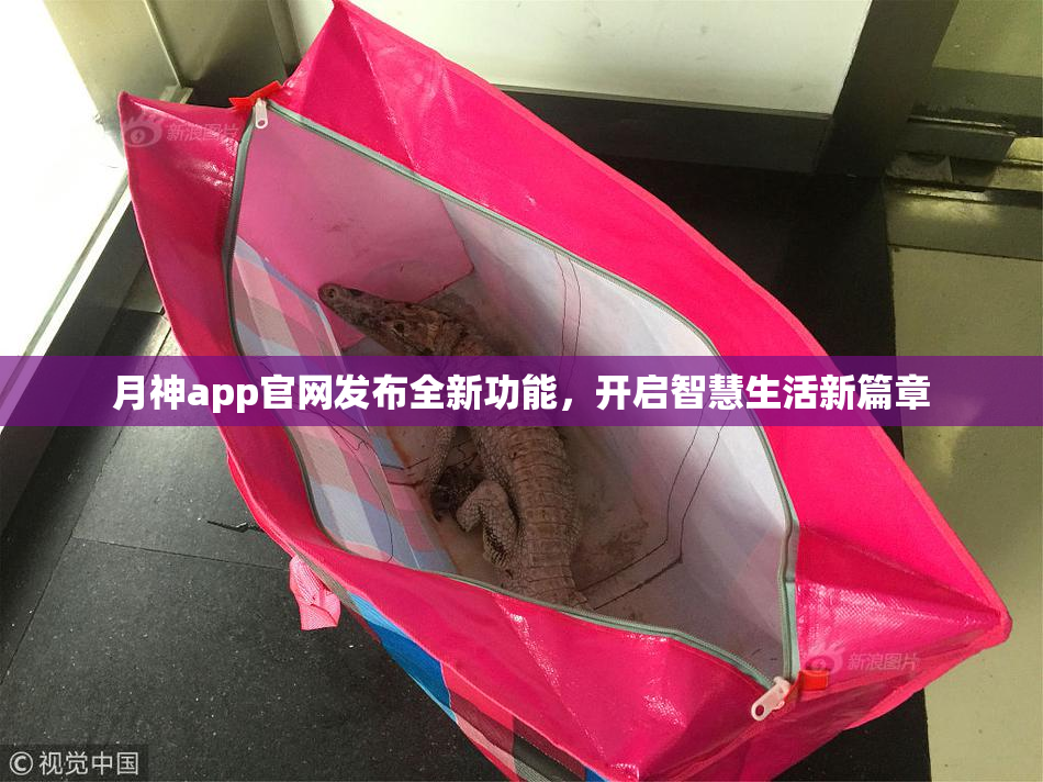 月神app官网发布全新功能，开启智慧生活新篇章