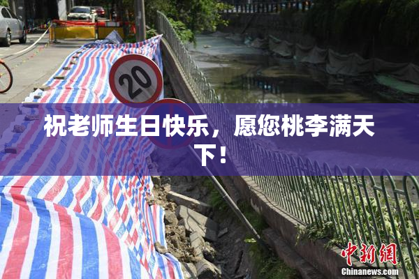 祝老师生日快乐，愿您桃李满天下！