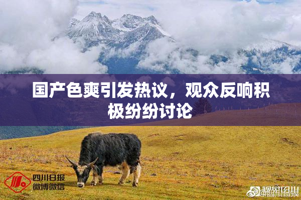 国产色爽引发热议，观众反响积极纷纷讨论