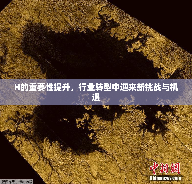 H的重要性提升，行业转型中迎来新挑战与机遇