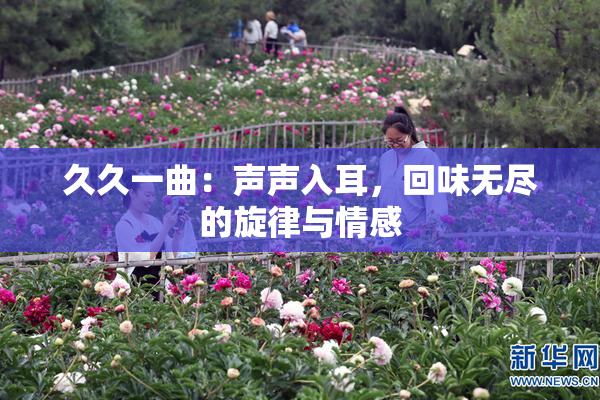 久久一曲：声声入耳，回味无尽的旋律与情感