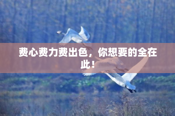 费心费力费出色，你想要的全在此！