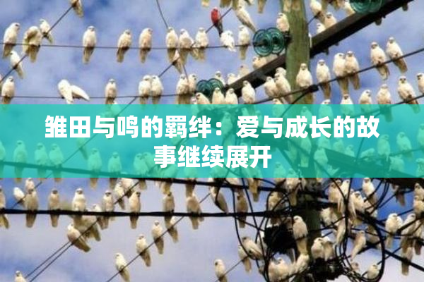 雏田与鸣的羁绊：爱与成长的故事继续展开