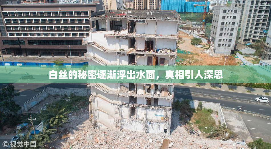 白丝的秘密逐渐浮出水面，真相引人深思