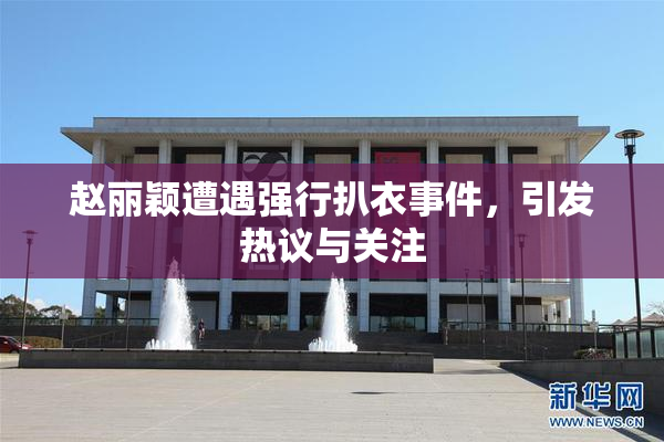 赵丽颖遭遇强行扒衣事件，引发热议与关注