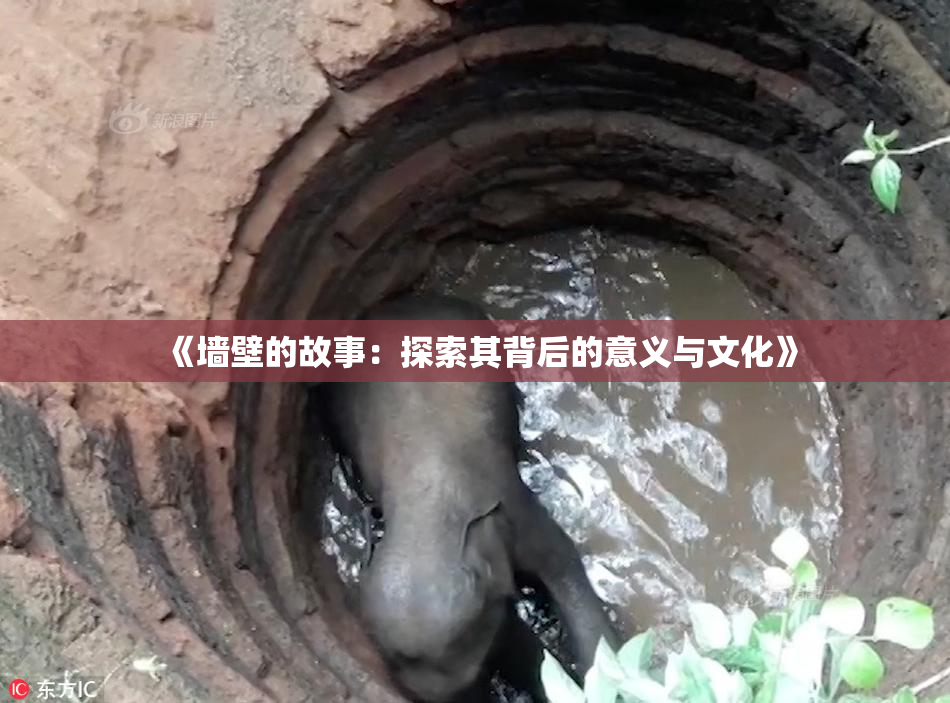 《墙壁的故事：探索其背后的意义与文化》