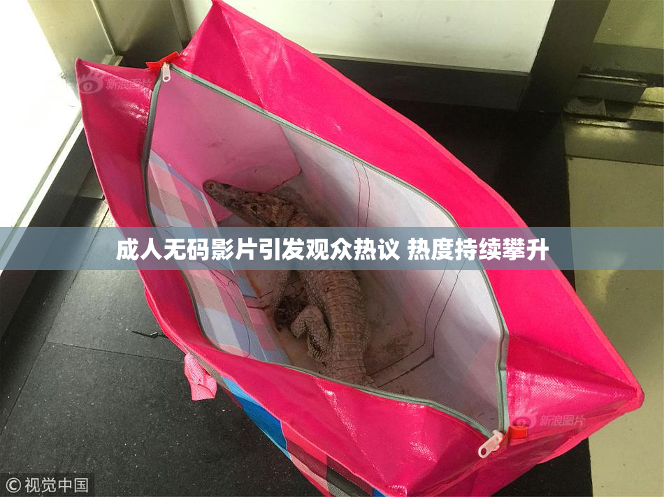 成人无码影片引发观众热议 热度持续攀升
