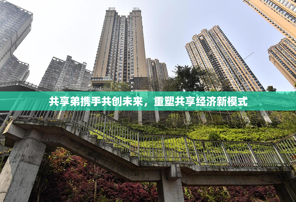 共享弟携手共创未来，重塑共享经济新模式