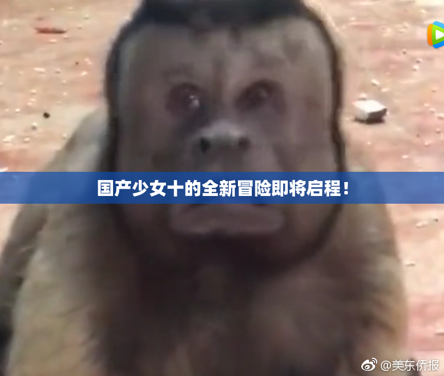 国产少女十的全新冒险即将启程！