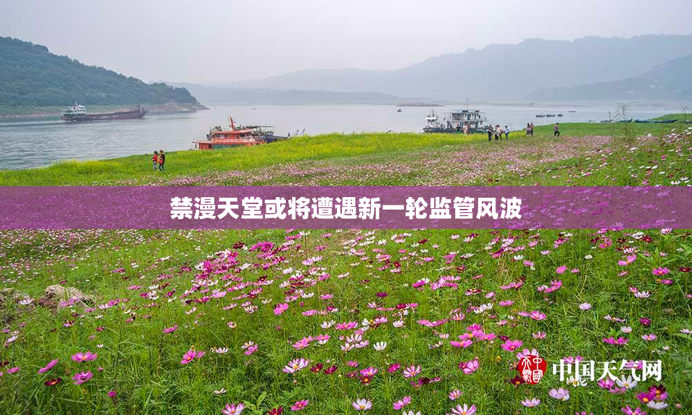 禁漫天堂或将遭遇新一轮监管风波