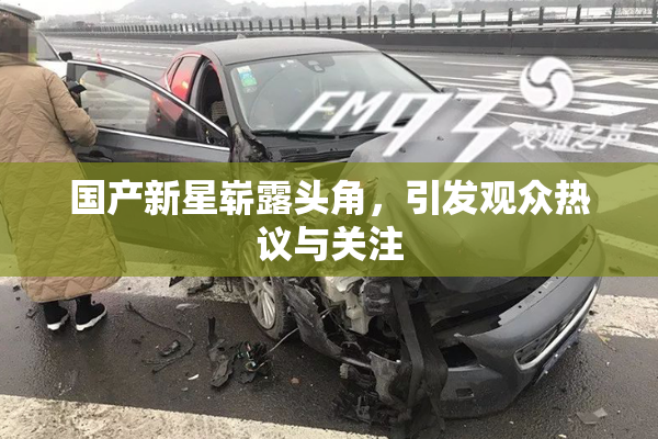 国产新星崭露头角，引发观众热议与关注