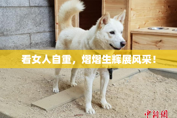 看女人自重，熠熠生辉展风采！