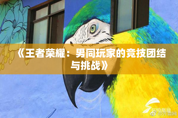 《王者荣耀：男同玩家的竞技团结与挑战》