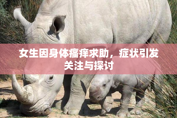 女生因身体瘙痒求助，症状引发关注与探讨