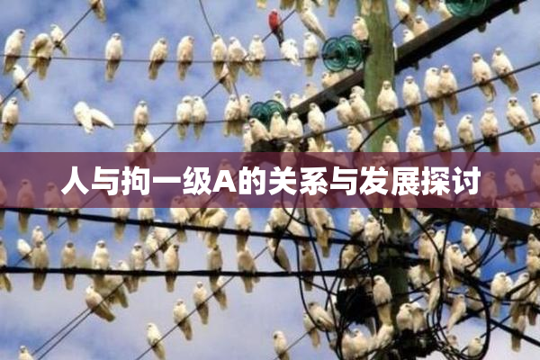 人与拘一级A的关系与发展探讨
