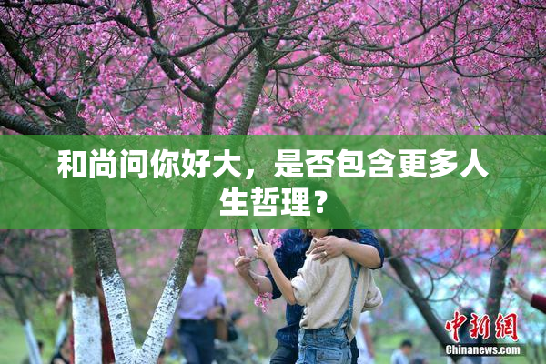 和尚问你好大，是否包含更多人生哲理？