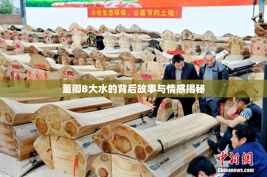 董卿B大水的背后故事与情感揭秘