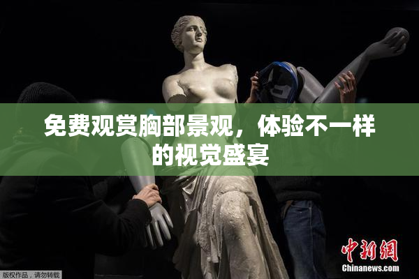 免费观赏胸部景观，体验不一样的视觉盛宴