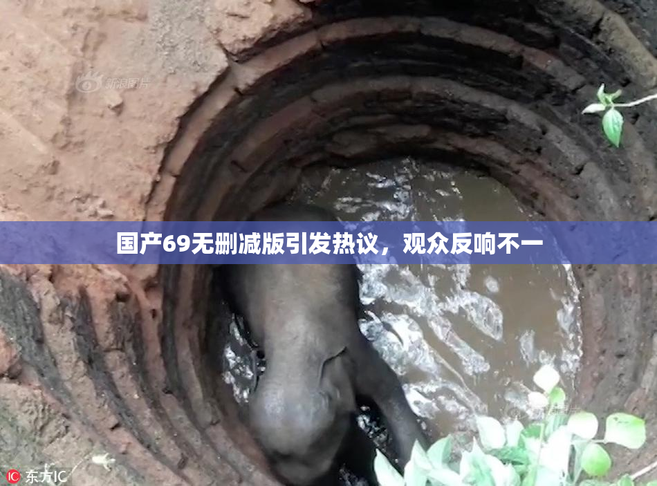 国产69无删减版引发热议，观众反响不一
