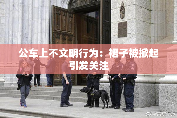 公车上不文明行为：裙子被掀起引发关注