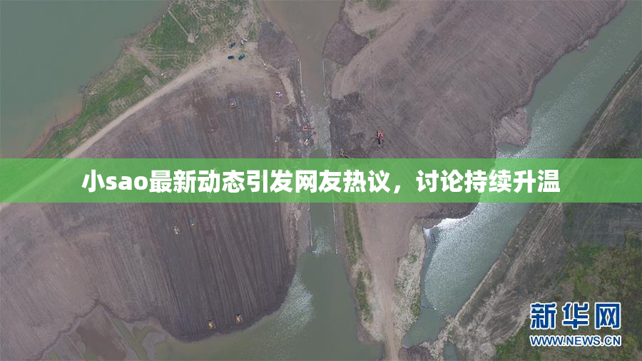 小sao最新动态引发网友热议，讨论持续升温