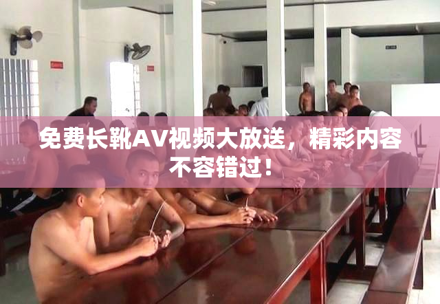免费长靴AV视频大放送，精彩内容不容错过！
