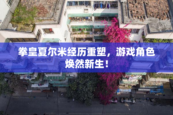 拳皇夏尔米经历重塑，游戏角色焕然新生！