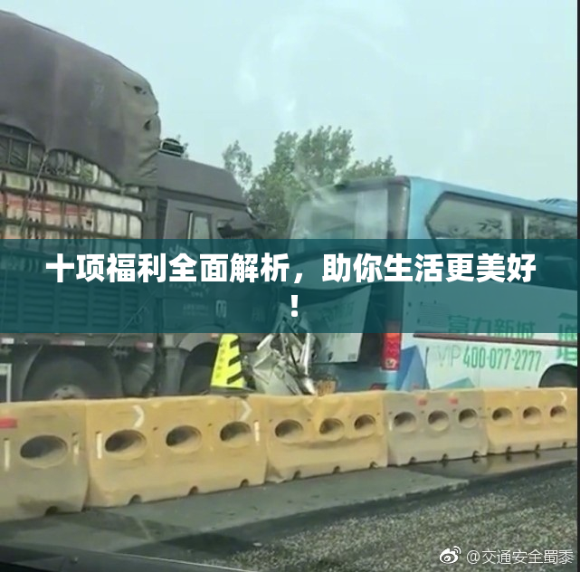 十项福利全面解析，助你生活更美好！