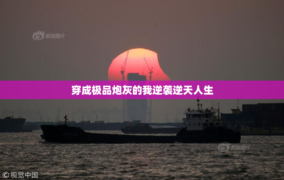 穿成极品炮灰的我逆袭逆天人生