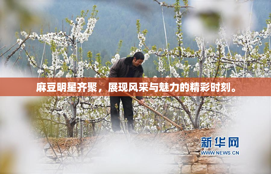 麻豆明星齐聚，展现风采与魅力的精彩时刻。