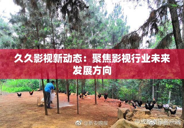 久久影视新动态：聚焦影视行业未来发展方向