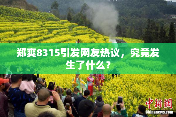 郑爽8315引发网友热议，究竟发生了什么？