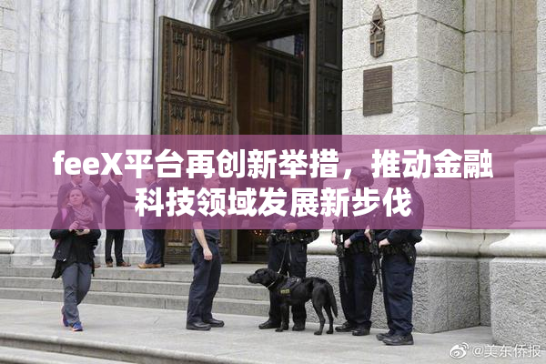 feeX平台再创新举措，推动金融科技领域发展新步伐