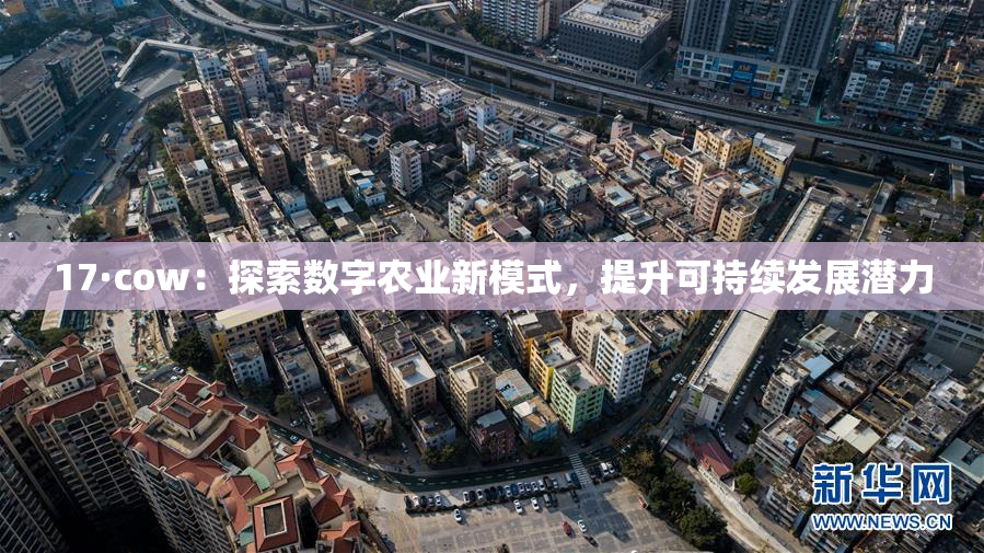17·cow：探索数字农业新模式，提升可持续发展潜力
