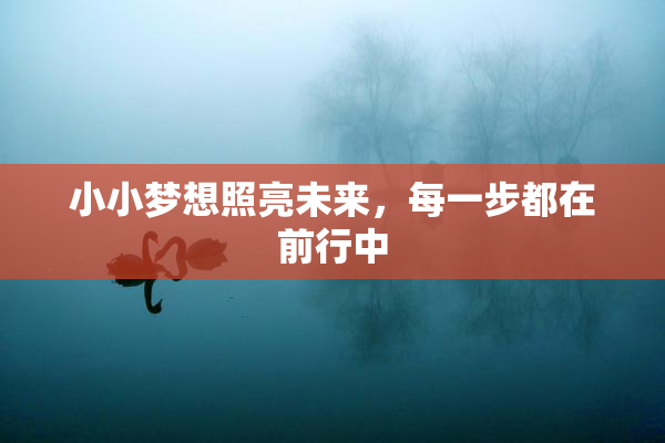 小小梦想照亮未来，每一步都在前行中