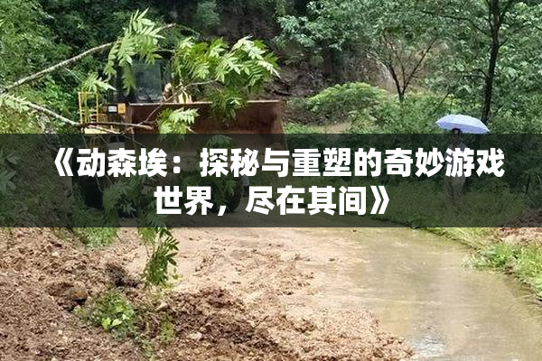 《动森埃：探秘与重塑的奇妙游戏世界，尽在其间》