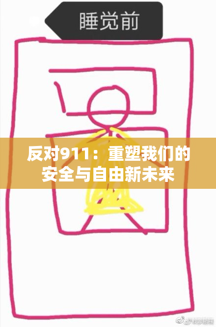 反对911：重塑我们的安全与自由新未来