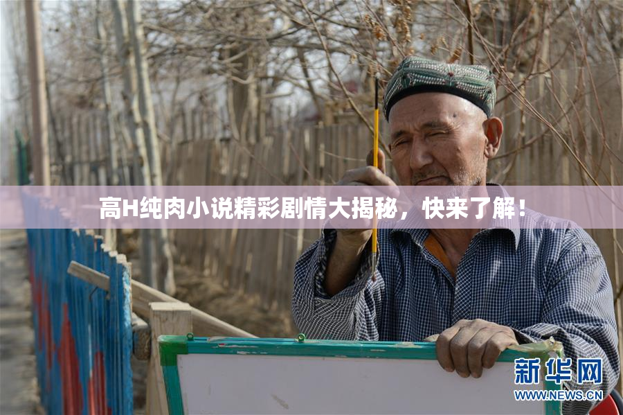 高H纯肉小说精彩剧情大揭秘，快来了解！