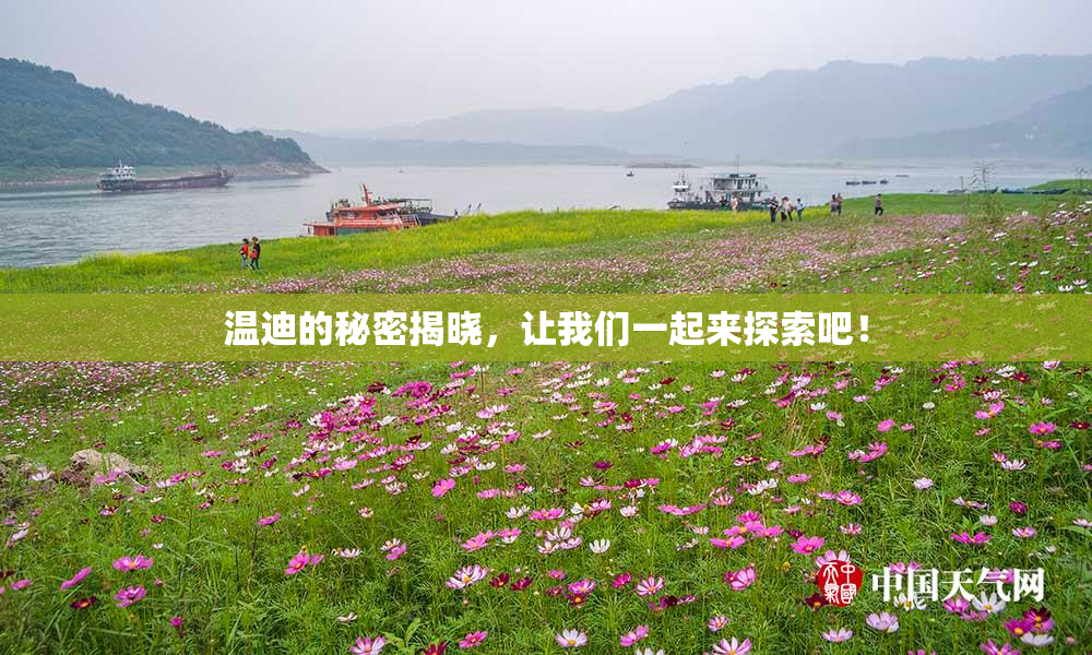 温迪的秘密揭晓，让我们一起来探索吧！