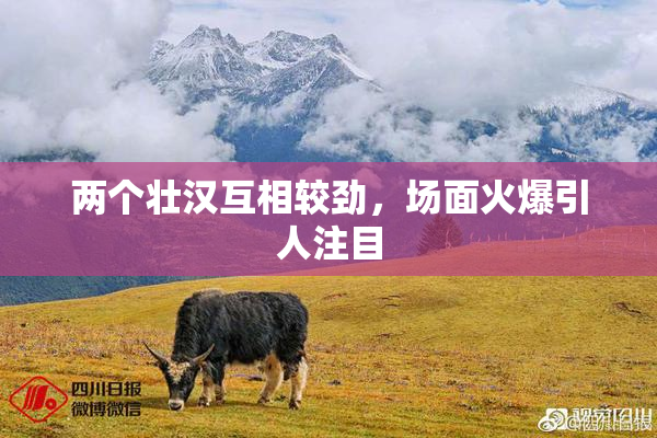 两个壮汉互相较劲，场面火爆引人注目
