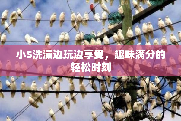 小S洗澡边玩边享受，趣味满分的轻松时刻