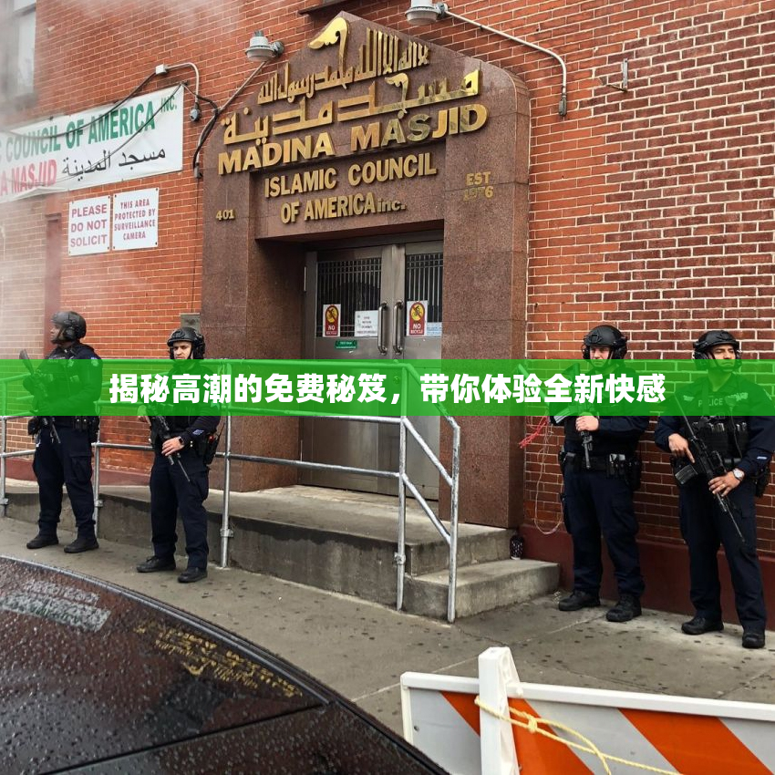 揭秘高潮的免费秘笈，带你体验全新快感