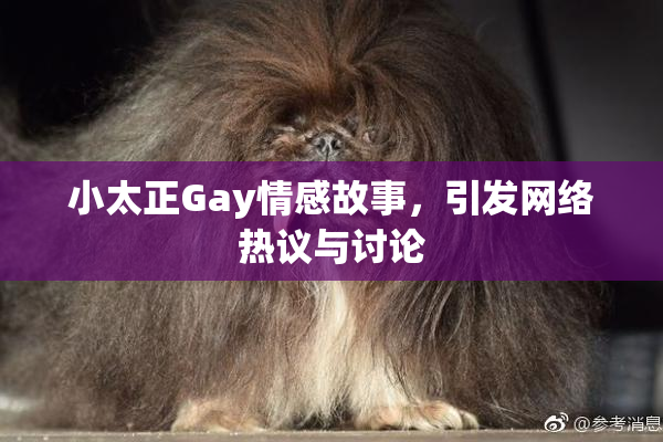 小太正Gay情感故事，引发网络热议与讨论